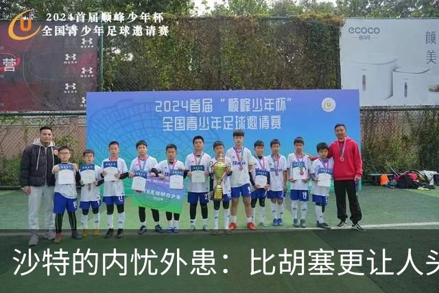 沙特的内忧外患：比胡塞更让人头疼的“已读不回